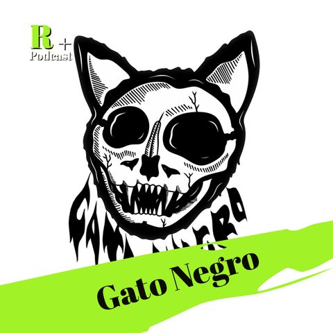 Entrevista Gato Negro (CDMX)
