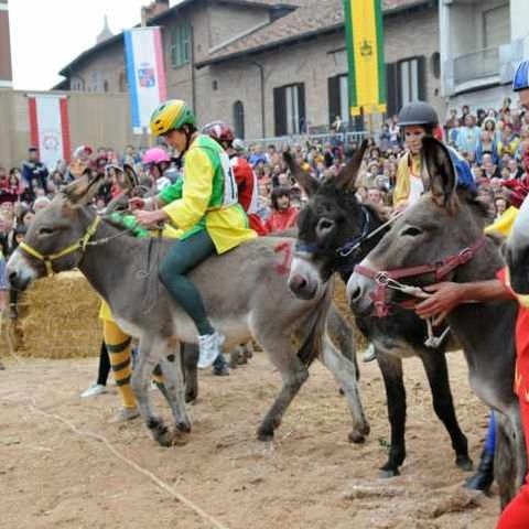 Palio degli Asini - Alba