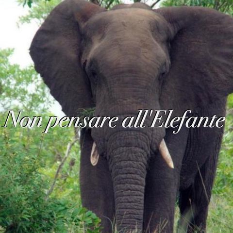 Non pensare all'elefante