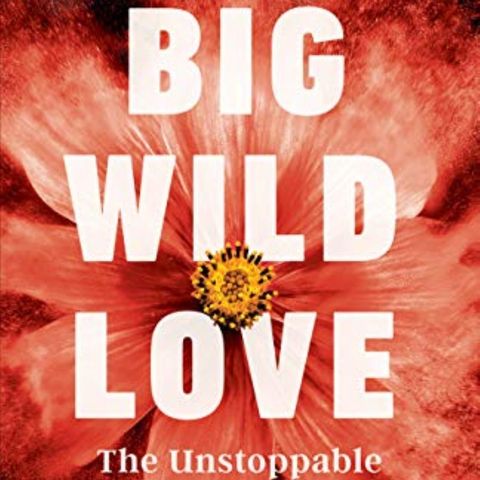 Jill Sheree Murray Releases The Book Big Wild Love
