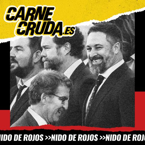 Verano azul verdoso: el PP se arrodilla ante Vox (NIDO DE ROJOS - CARNE CRUDA #1232)
