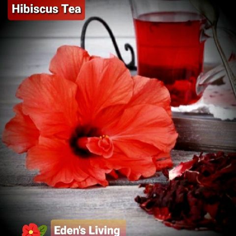Health Benefits Of HIBISCUS TEA