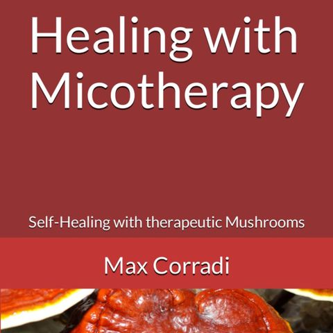 Micotherapy Series - Chaga (Inonotus obliquus)