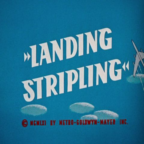 120. Landing Stripling