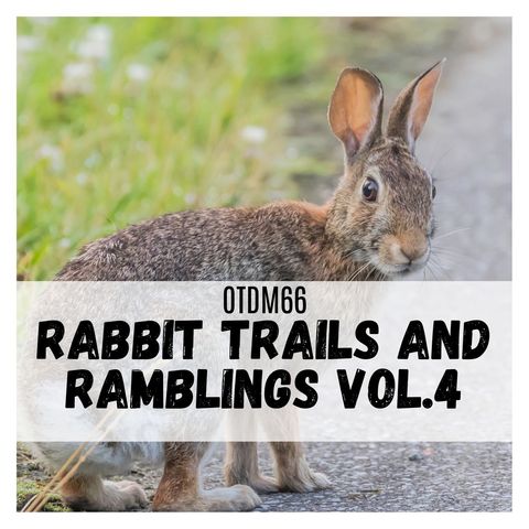 OTDM66 Rabbit Trails and Ramblings Vol. 4