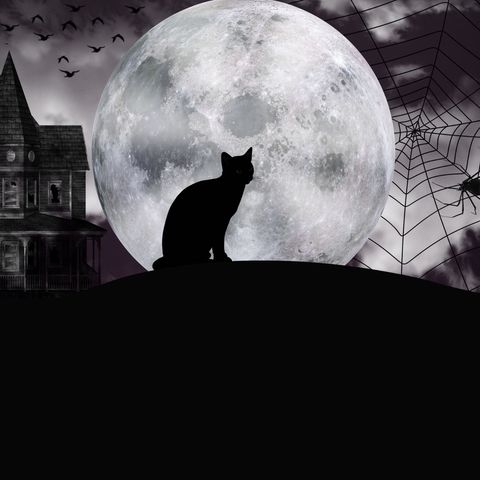 🐈‍⬛ Il gatto nero - E. A. Poe