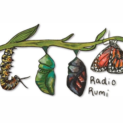 Radio Rumi Program 23: Homeless like a Fly