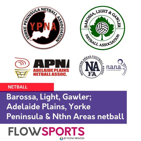 The Flowman and the Statman review & preview Barossa, Light & Gawler, Adelaide Plains, Northern Areas and Yorke Peninsula netball