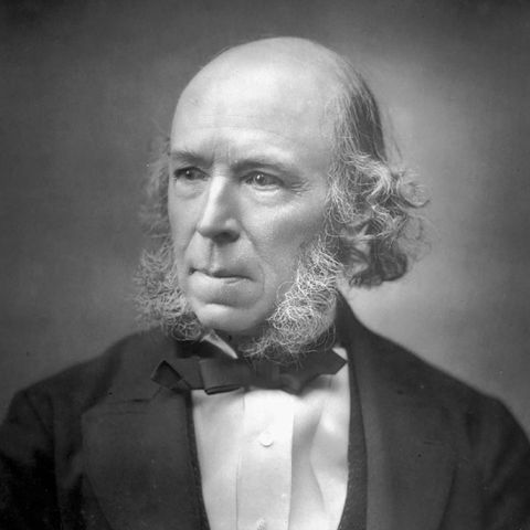Herbert Spencer ve Evrim Üzerine...