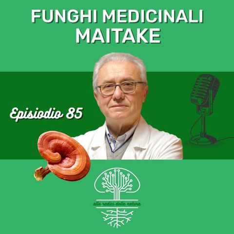 Funghi Medicinali: MAITAKE