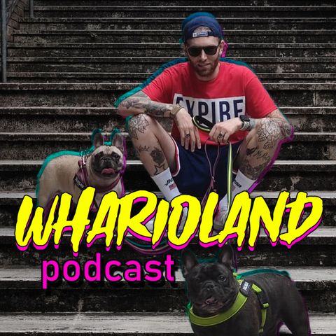 WHARIOLAND podcast - ep.01 - Insieme a Rudi Offidani