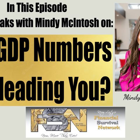 Are GDP Numbers Misleading You? - Mindy McIntosh #6157