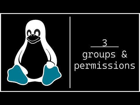 Linux Groups & Permissions