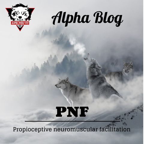 PNF - Propioceptive neuromuscular facilitation