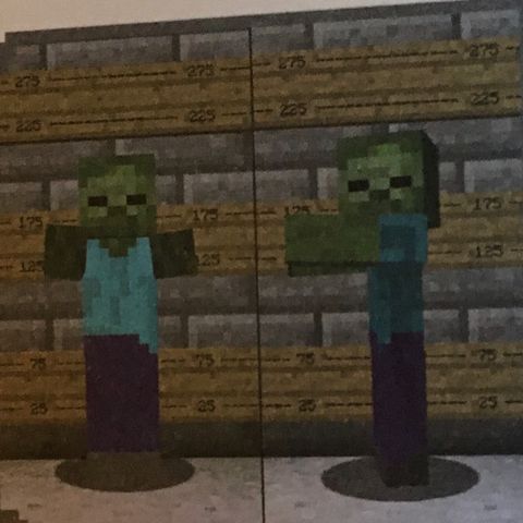 #39 Minecraft Zombies