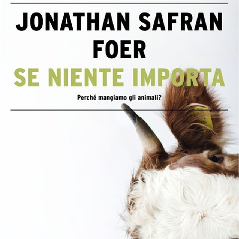 SE NIENTE IMPORTA, di Jonathan Safran Foer