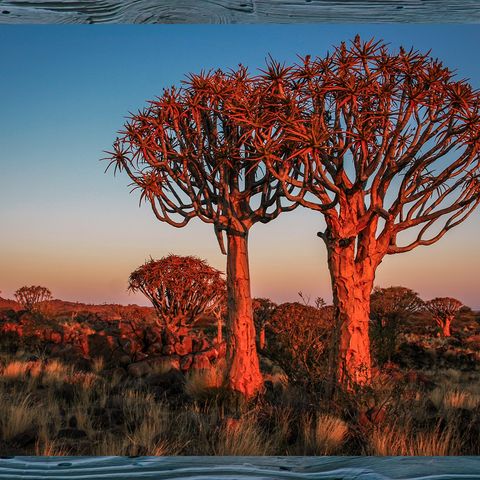 #007 Durch die Wildnis Südafrikas und Namibias