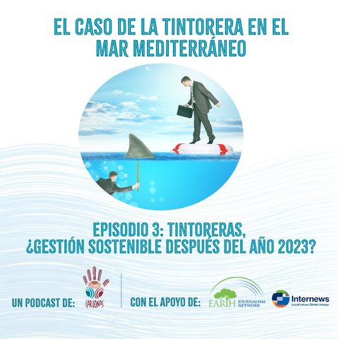 El caso de la Tintorera en el Mar Mediterráneo. Episodio 3: Tintoreras, ¿gestión sostenible después del año 2023?