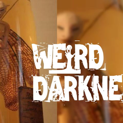 “VEGETABLE ALIENS AND SPACE FAIRIES” and 6 More Bizarre But True Stories! #WeirdDarkness