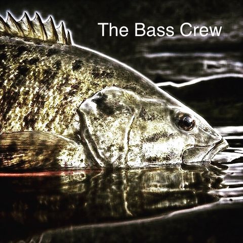 The Bass Crew - The Start