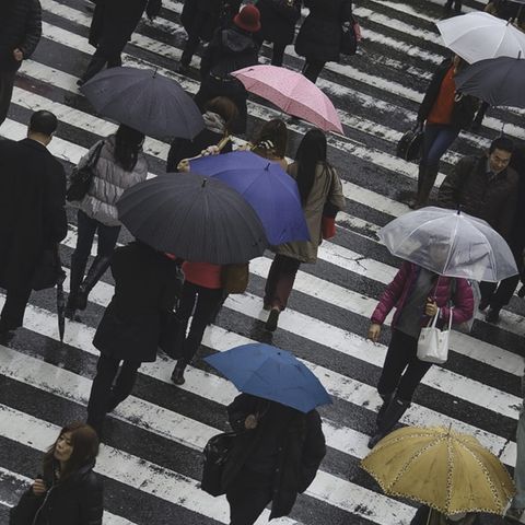 Se activa Alerta Amarilla por lluvias en la Ciudad de México
