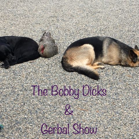 Episode 33 - Bobby Dicks & The Gerbal: That’s Alcohol Abuse