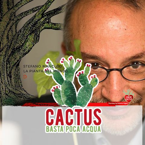 Cactus #15 - Il respiro della Terra - 07/01/2021