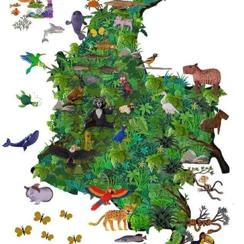 Biodiversidad