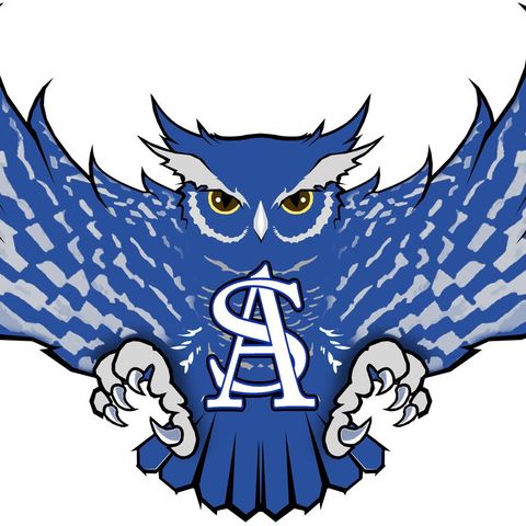 Anderson-Shiro Coach Brad Hodges