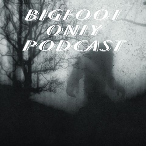 Paranormal Podcasting Bigfoot Only edition. Talking more Bigfoot sightings.