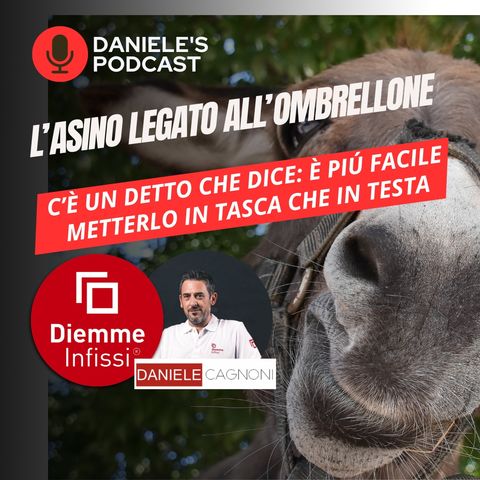 L'asino legato all'ombrellone