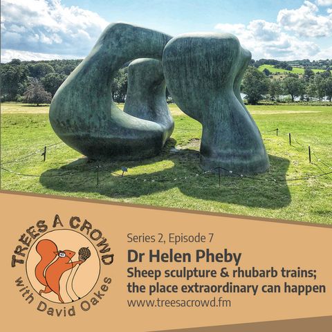 Dr Helen Pheby: Sculpture for sheep, and rhubarb trains; the place ‘Extraordinary’ can happen