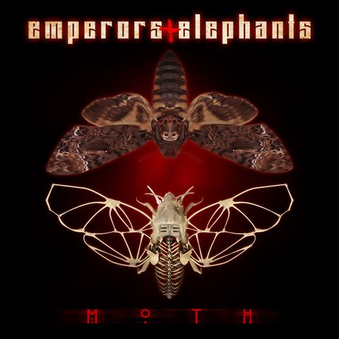 Jason From Emperors and Elephants