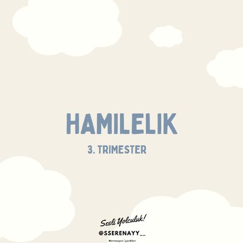 Hamilelik Süreci | 3. Trimester Nasıl Geçti? = Nefes Nefese :)
