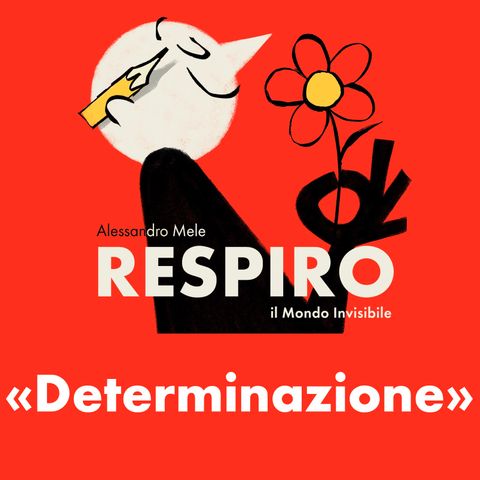 RESPIRO 91 - determinazione