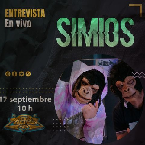 Entrevista con SIMIOS