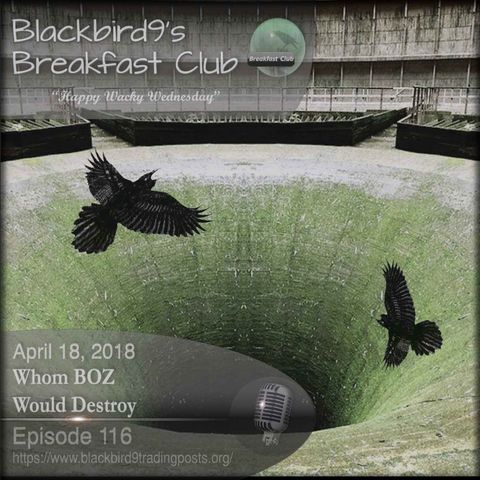 Whom BOZ Would Destroy - Blackbird9 Podcast