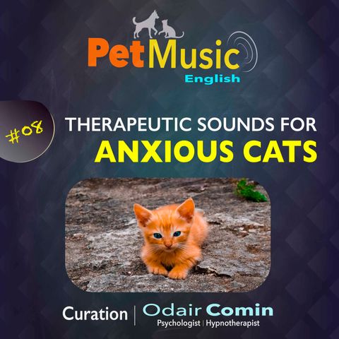 #08 Therapeutic Sounds for Anxious Cats | PetMusic