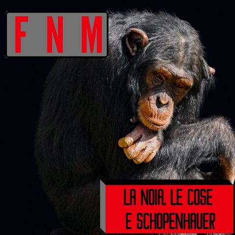 La noia, le cose e Schopenhauer