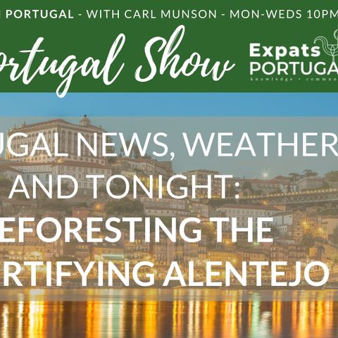 Reforesting the desertifying Alentejo - Ward Demaere on The Portugal Show