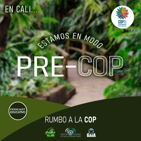 NUESTRO OXÍGENO Modo Pre-COP Rumbo a la COP