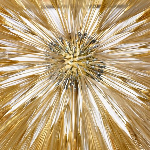 Bertoia Dandelions