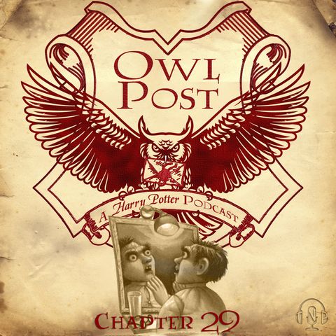 Chapter 029: The Polyjuice Potion