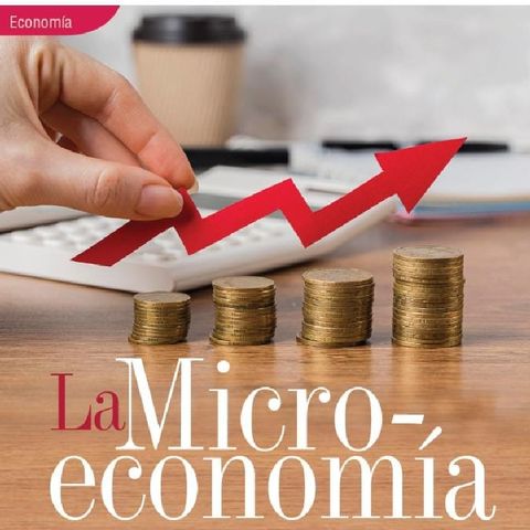 Conexión entre la microeconomía y la administración publica