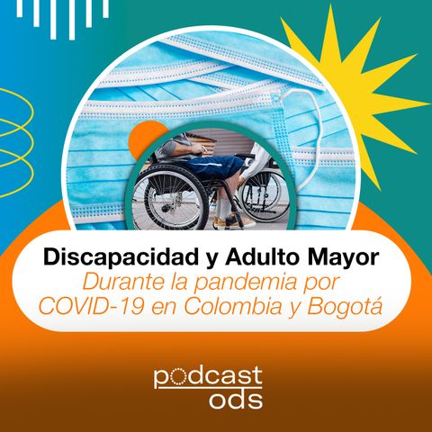 28. Discapacidad y adulto mayor durante la pandemia por COVID19 en Colombia y Bogotá