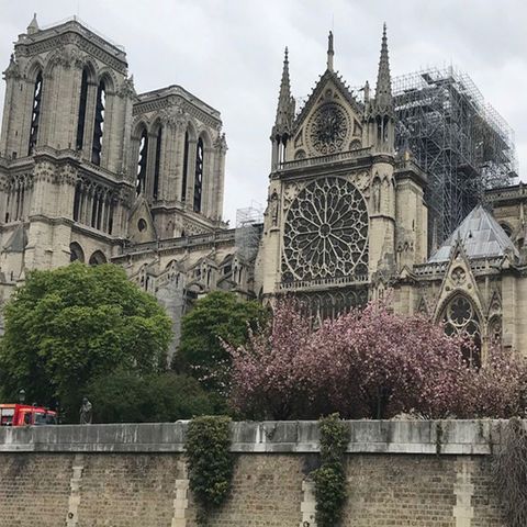 Estructura de Catedral de Notre Dame podría perderse