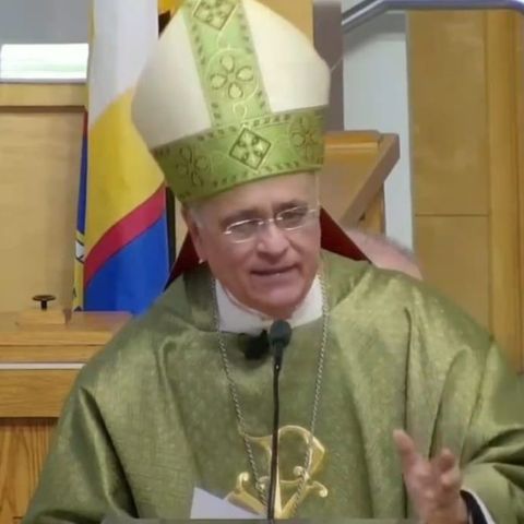 Monseñor Silvio Báez: “la viña del señor no fracasará”