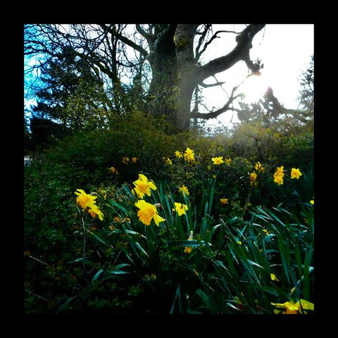 King's Pond Revisited