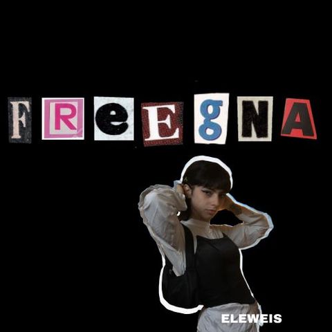Freegna - introduzione