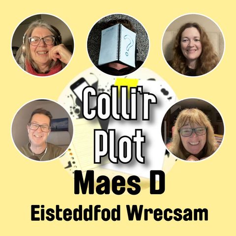 Maes D - Eisteddfod Wrecsam 2025